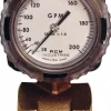 2" NPT Port RCM Industries Flo-Gage Flowmeter