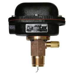 1,000 psi, Brass Housing, General Purpose Flow Switch