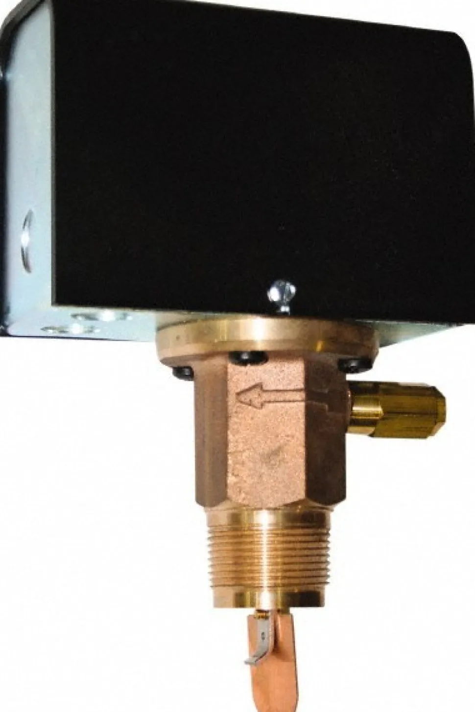 1,000 psi, Stainless Steel Housing, Adjustable Paddle Flow Switch