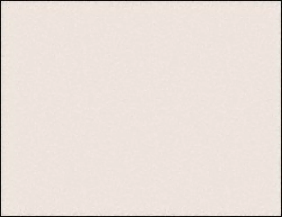 Anti-Static & Clean Room Paper: Color: White; Length (Inch): 11