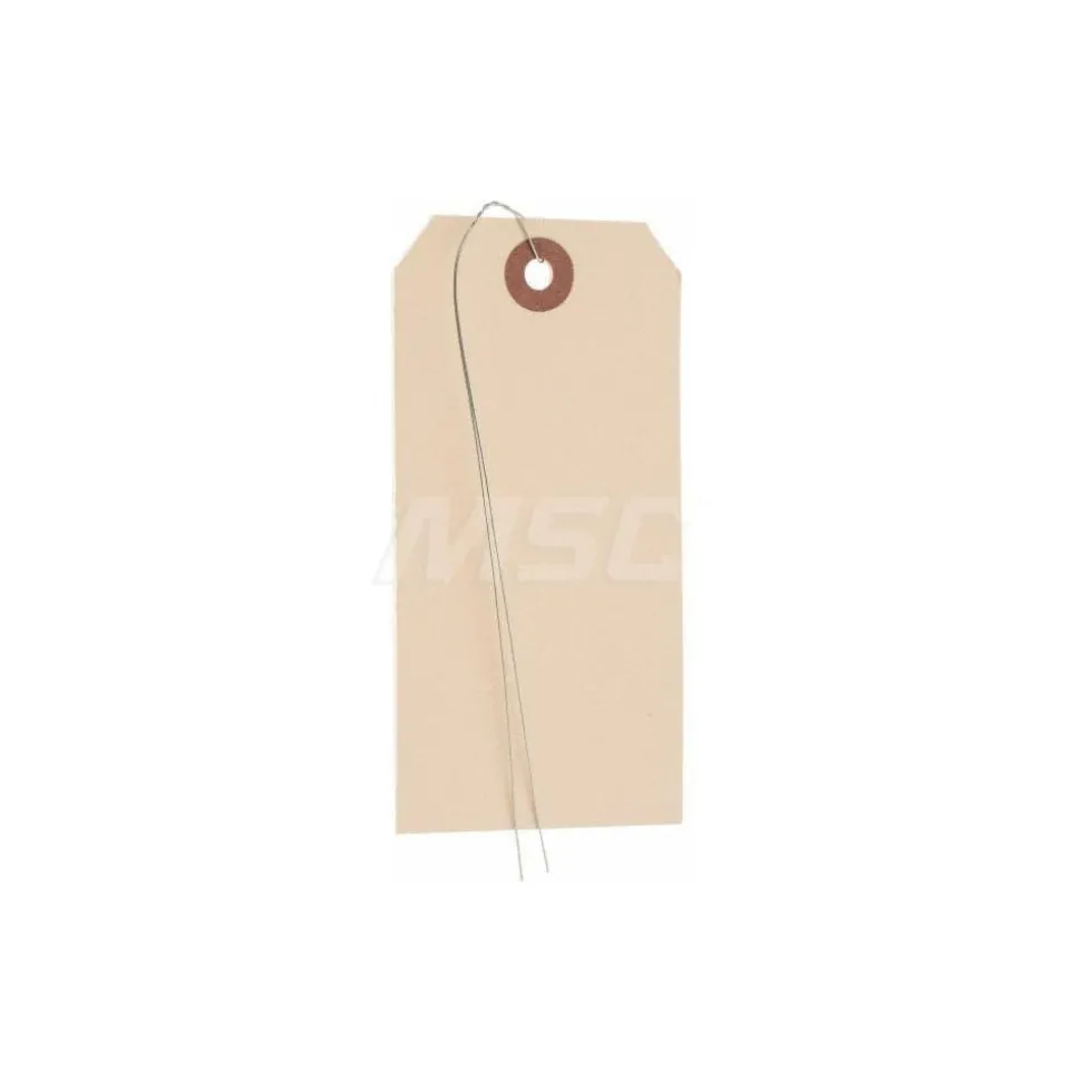 Blank Tag: 4-3/4'' High, Natural, Synthetic Paper