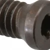 Cap Screw for Indexables: Torx®