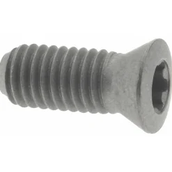 Cap Screw for Indexables: TP20 TORX® Plus