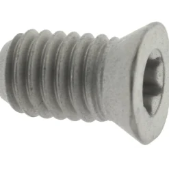 Cap Screw for Indexables: T20 TORX®