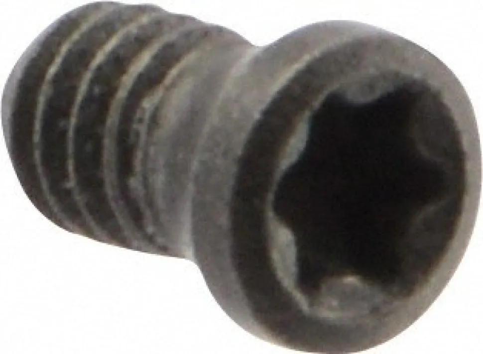 Cap Screw for Indexables: T6 Torx®, M2 x 0.4 Thread