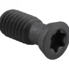 Cap Screw for Indexables: T20 Torx®, M5 x 0.8 Thread