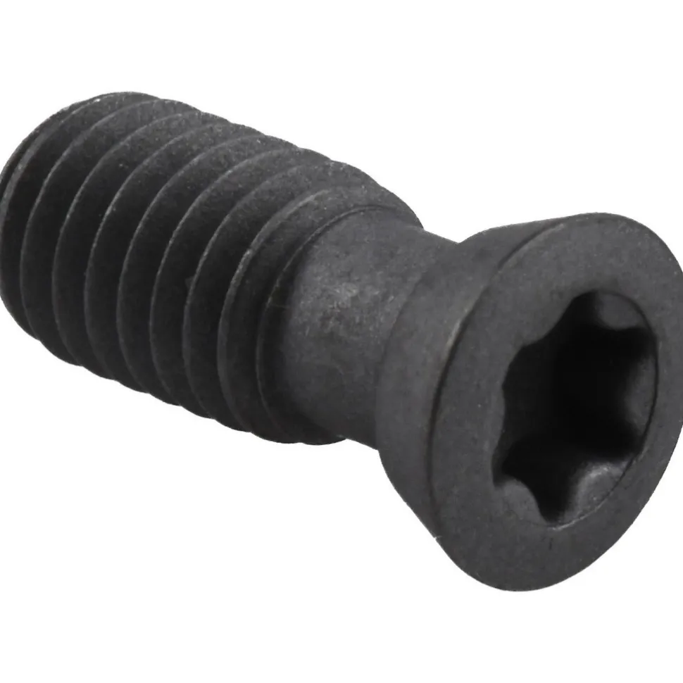 Cap Screw for Indexables: T20 Torx®, M5 x 0.8 Thread