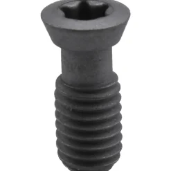 Cap Screw for Indexables: T20 Torx®, M5 x 0.8 Thread