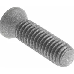 Cap Screw for Indexables: T15 Torx®, M4 x 0.7 Thread