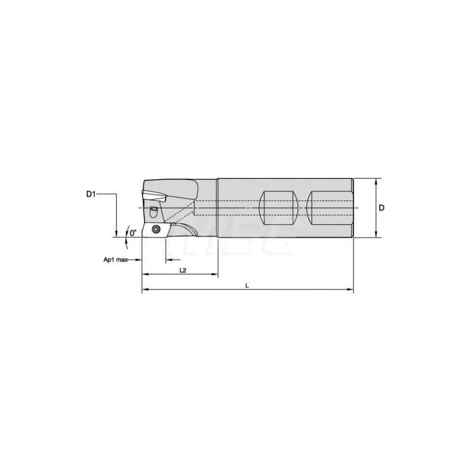 Indexable Square-Shoulder End Mill: M1D100E1004W100L125, 1" Cut Dia, 0.395" Max Depth of Cut, 1" Dia Weldon Flat Shank