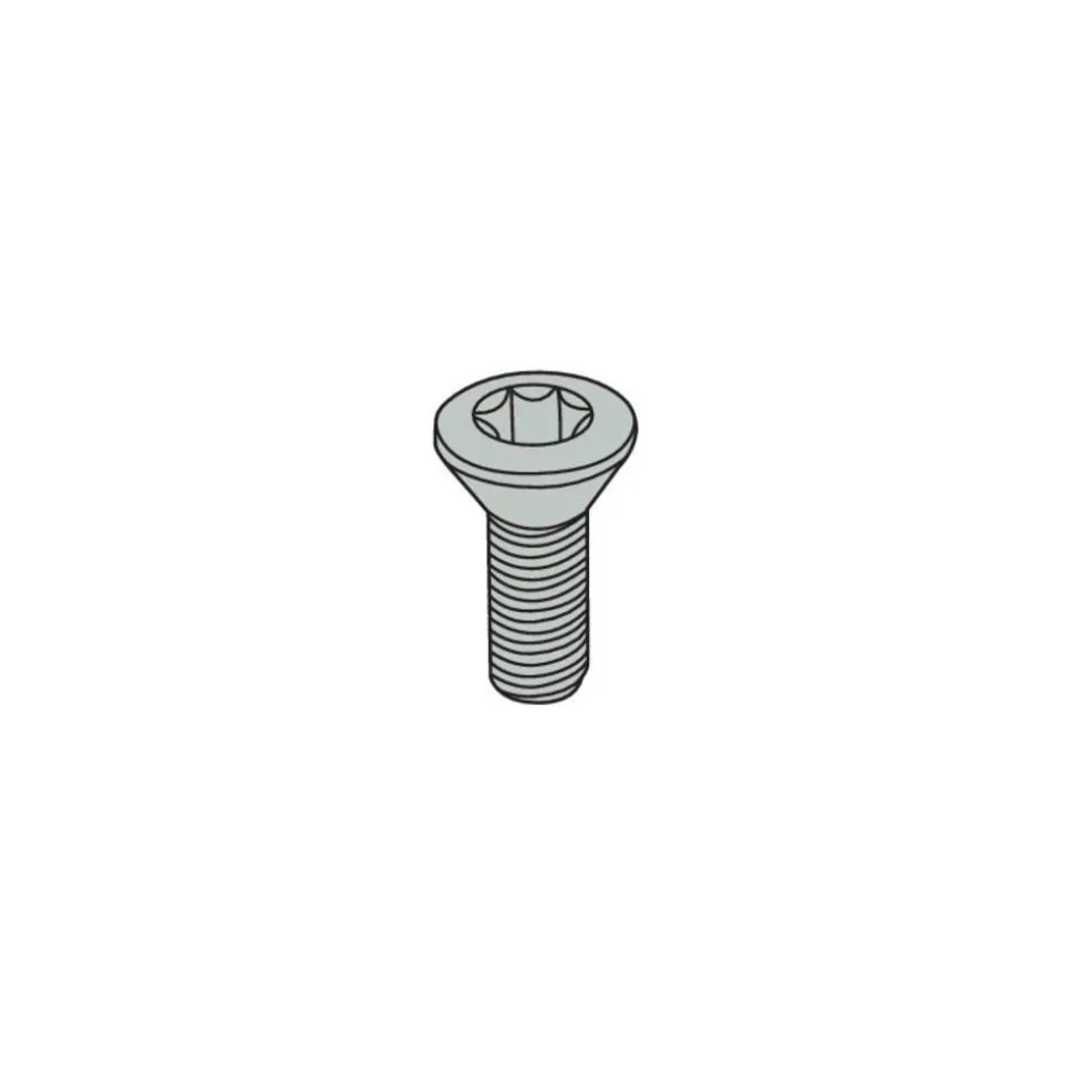 Insert Screw for Indexables: T15P Torx® Plus, M4 Thread