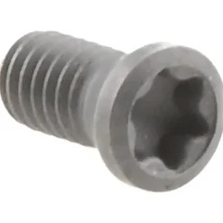 Insert Screw for Indexables: Torx®