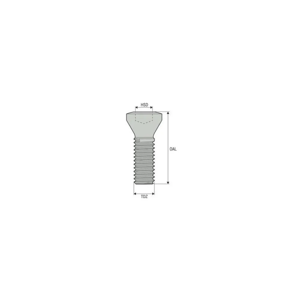 Lock Screw for Indexables: TP9 Torx® Plus, M3 Thread