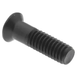 Lock Screw for Indexables: T20 Torx®, #10-32 Thread