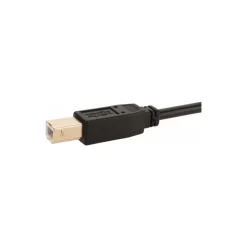 10' Long, USB A/B Computer Cable