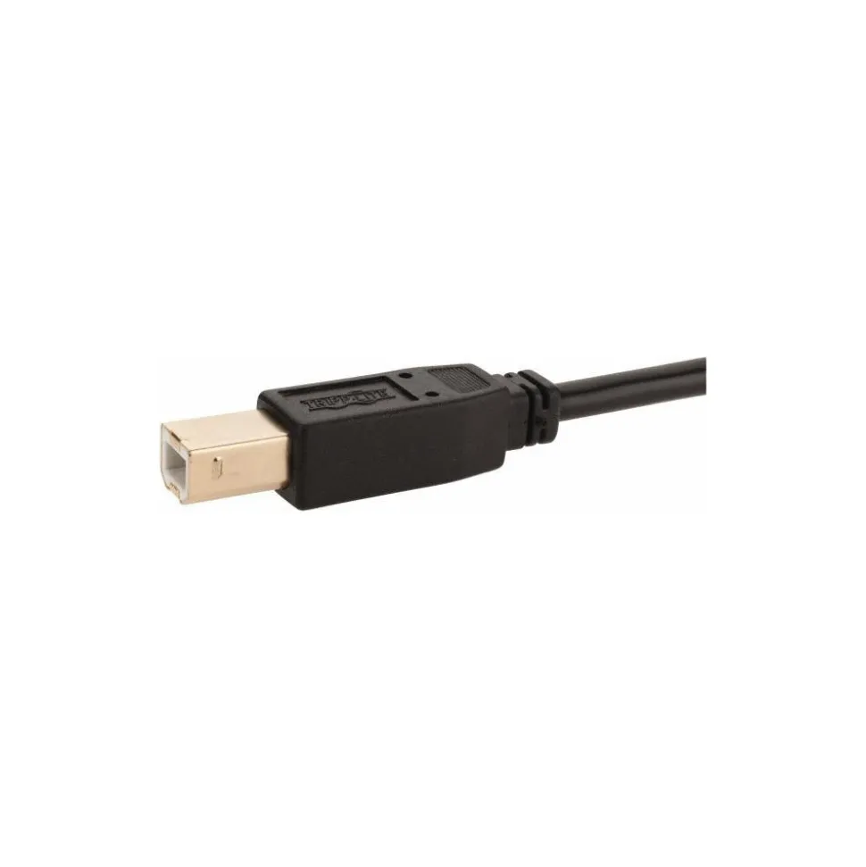 10' Long, USB A/B Computer Cable