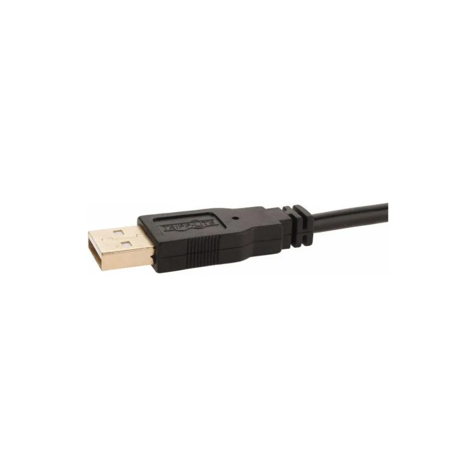 10' Long, USB A/B Computer Cable