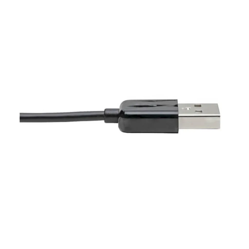 Network Adapter