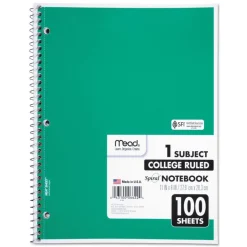 Notebook: 100 Sheets, 8-1/2 x 11