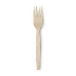 Paper & Plastic Cups, Plates, Bowls & Utensils: Flatware Type: Forks; Material: Plastic