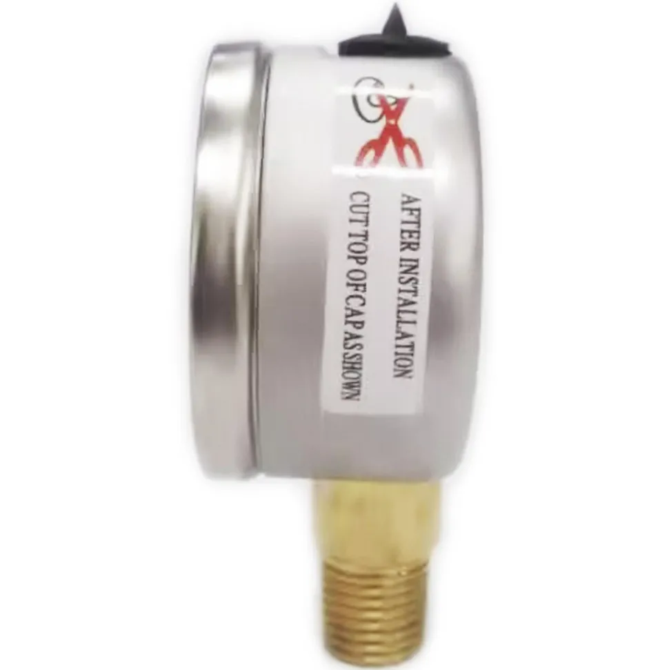 Pressure Gauge: 2" Dial, 30 psi, 1/4" Thread, NPT, Lower Mount