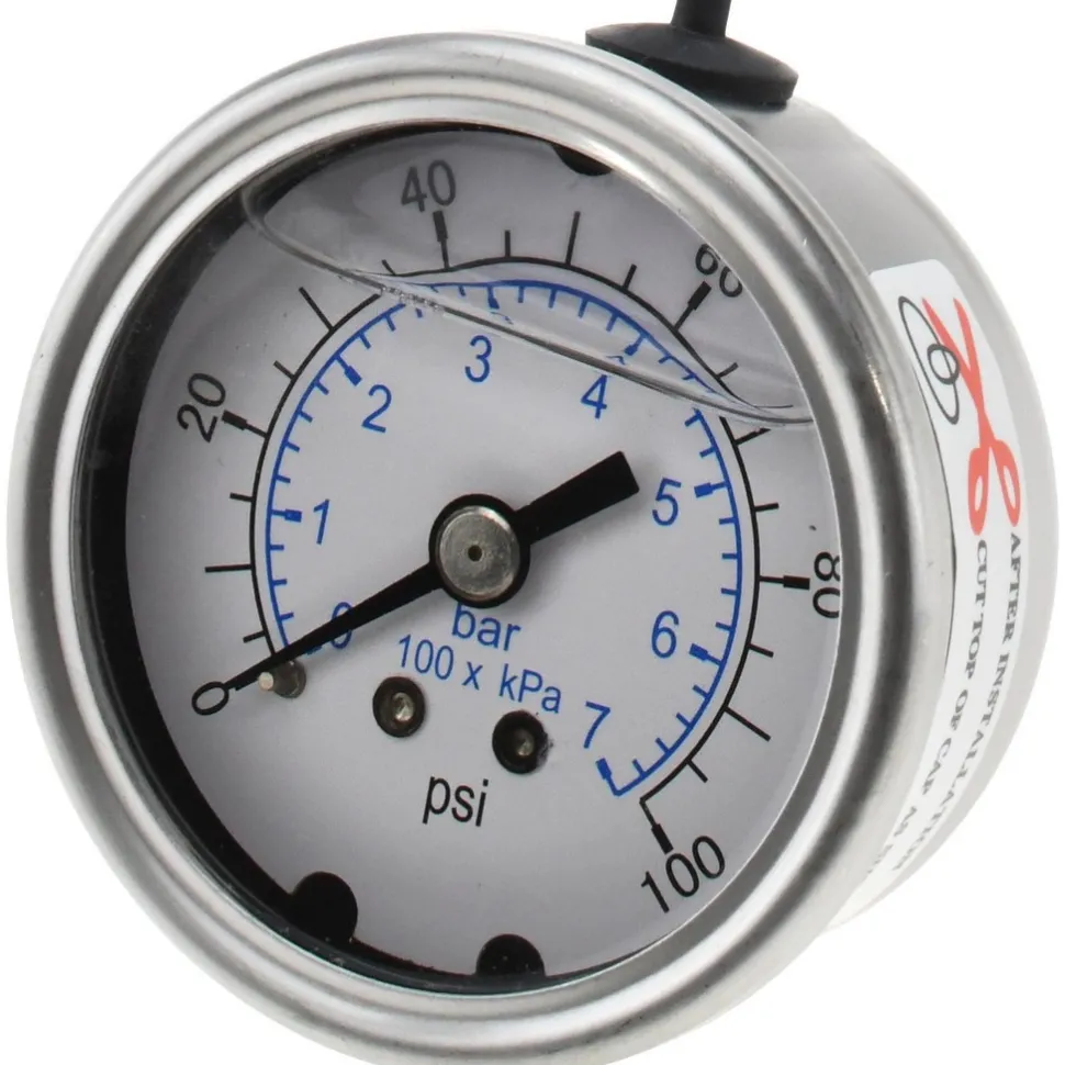 Pressure Gauge: 2" Dial, 100 psi, 1/4" Thread, NPT, Center Back Mount