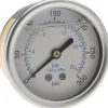 Pressure Gauge: 2-1/2" Dial, 300 psi, 1/4" Thread, NPT, Center Back Mount