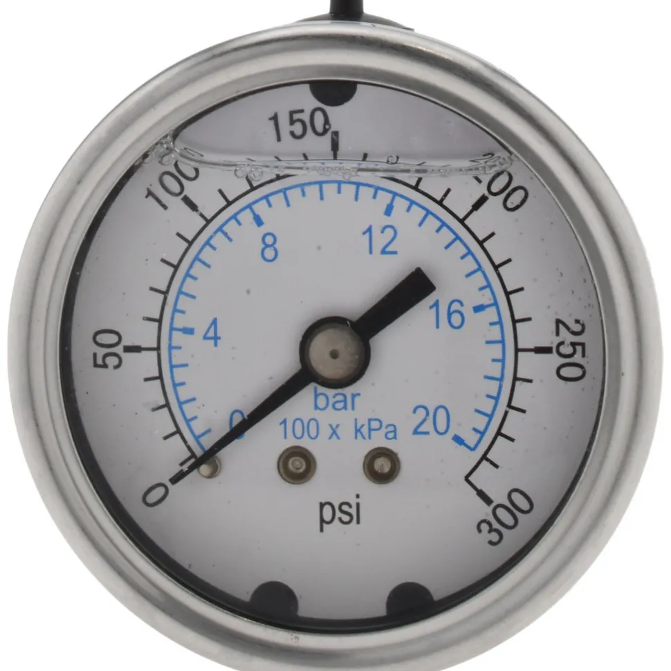 Pressure Gauge: 2" Dial, 300 psi, 1/4" Thread, NPT, Center Back Mount