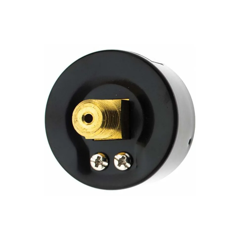 Pressure Gauge: 2" Dial, 1/4" Thread, NPT, Center Back Mount