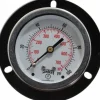Pressure Gauge: 2-1/2" Dial, 0 to 100 psi, 1/4" Thread, NPT, Center Back Mount