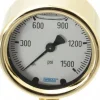 Pressure Gauge: 2-1/2" Dial, 0 to 1,500 psi, 1/4" Thread, NPT, Lower Mount