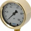 Pressure Gauge: 2-1/2" Dial, 0 to 100 psi, 1/4" Thread, NPT, Lower Mount