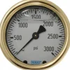 Pressure Gauge: 2-1/2" Dial, 0 to 3,000 psi, 1/4" Thread, NPT, Back Mount