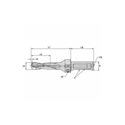 Replaceable-Tip Drill: 31.75 to 32 mm Dia, 96 mm Max Depth, 31.75 mm Weldon Flat Shank