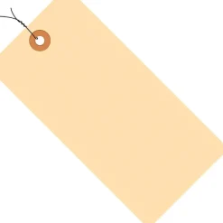 Shipping Tags, Pre-Wired, 13 Pt., 5 1/4" x 2 5/8", Manila, 1000/Case