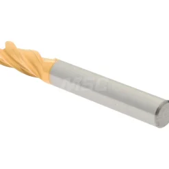 Square End Mill: 5/16" Dia, 3/4" LOC