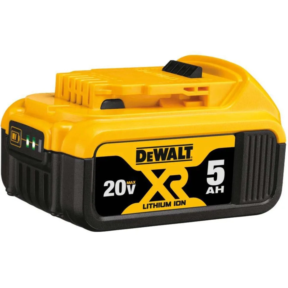 20V MAX Lithium-Ion 5Ah Battery, 2-Pack