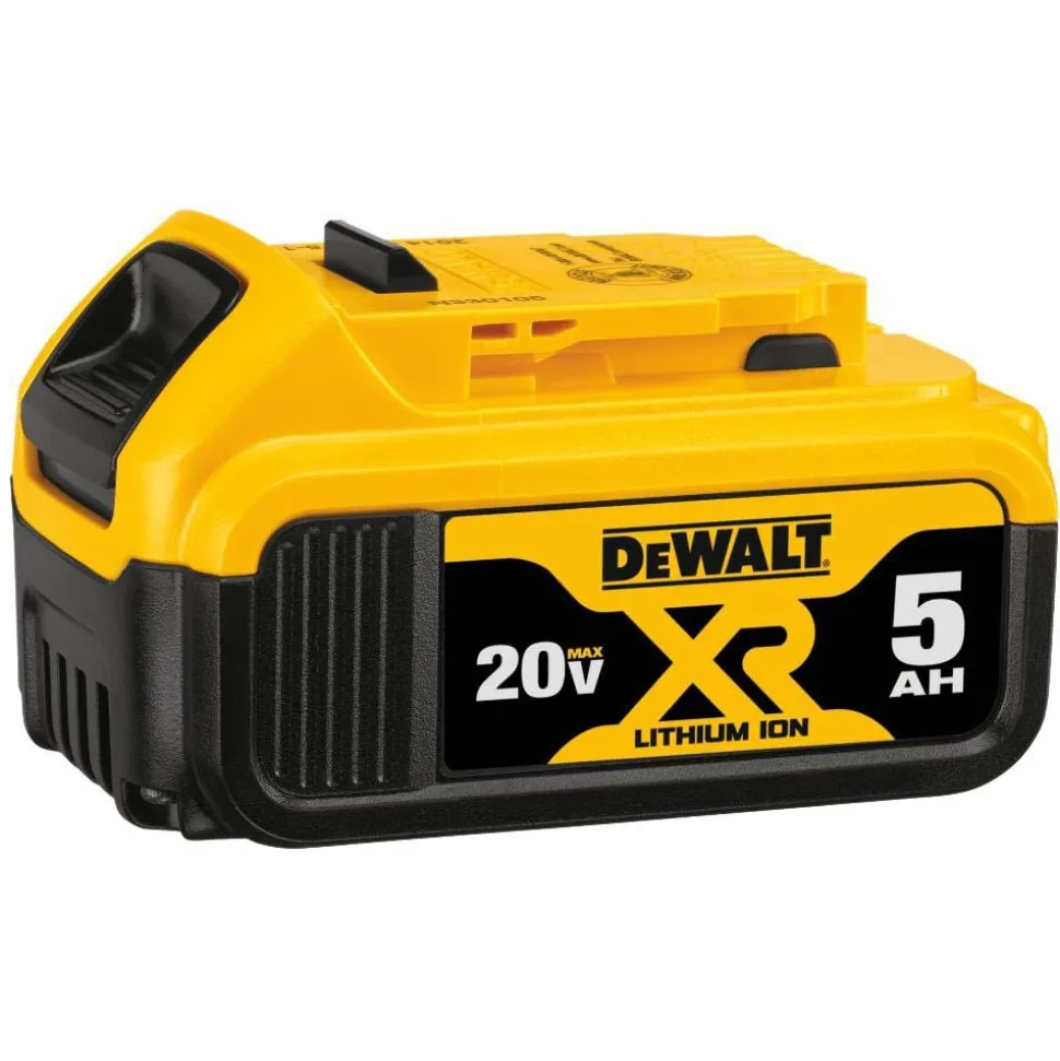 20V MAX Lithium-Ion 5Ah Battery, 2-Pack