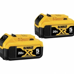 20V MAX Lithium-Ion 5Ah Battery, 2-Pack
