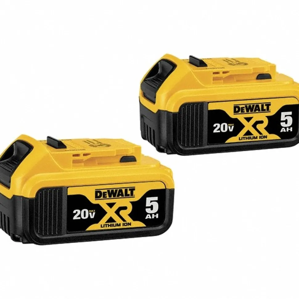 20V MAX Lithium-Ion 5Ah Battery, 2-Pack